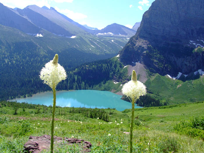 Grinnell Lake