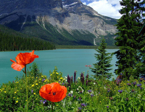 Emerald Lake
